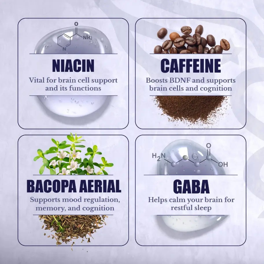 NATION HEALTH MD - COGNILUX, Brain Supplements for Memory and Focus with Niacin x6 - Nation Health MD