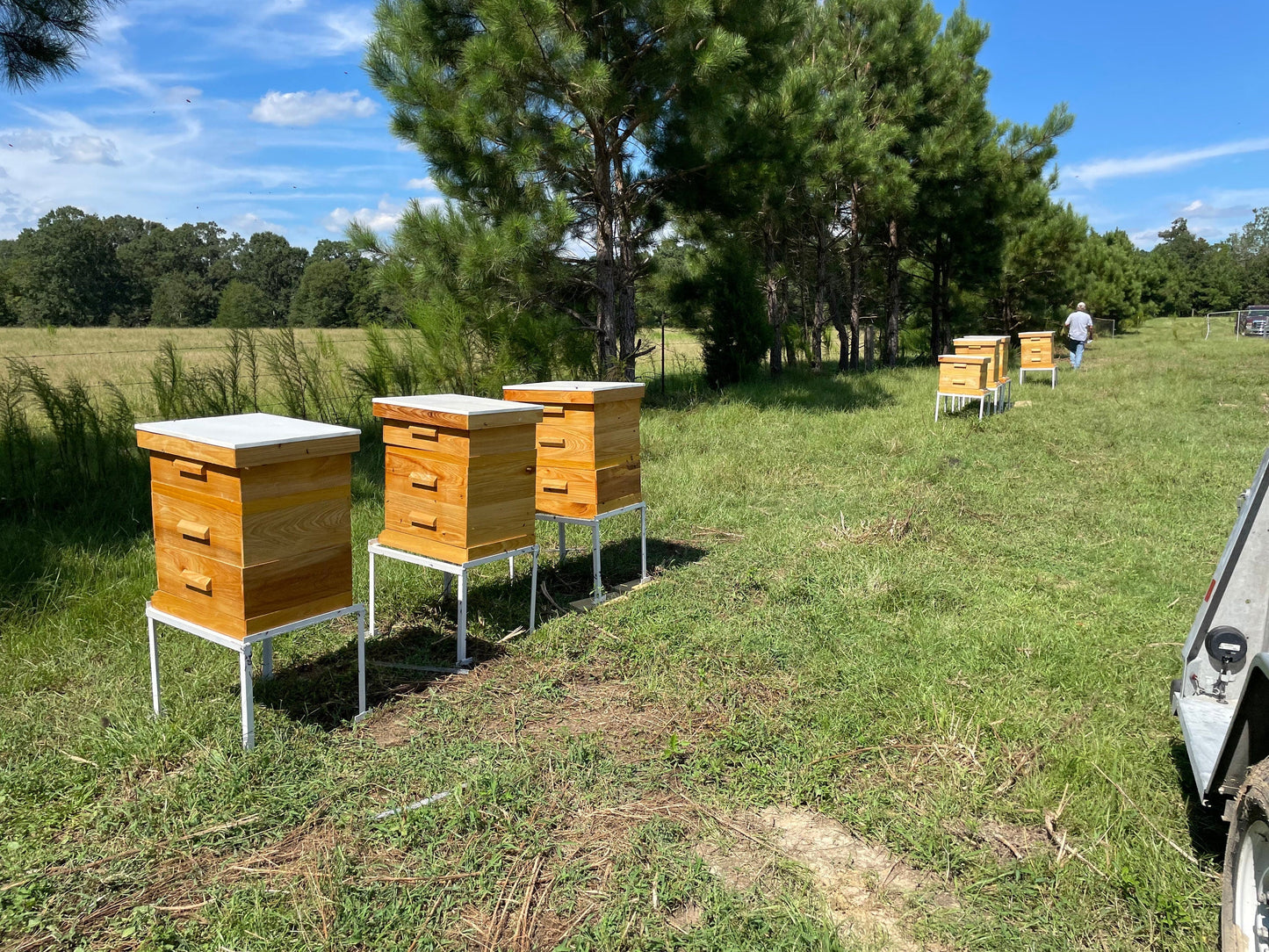 Mississippi Hot Honey The Lady May