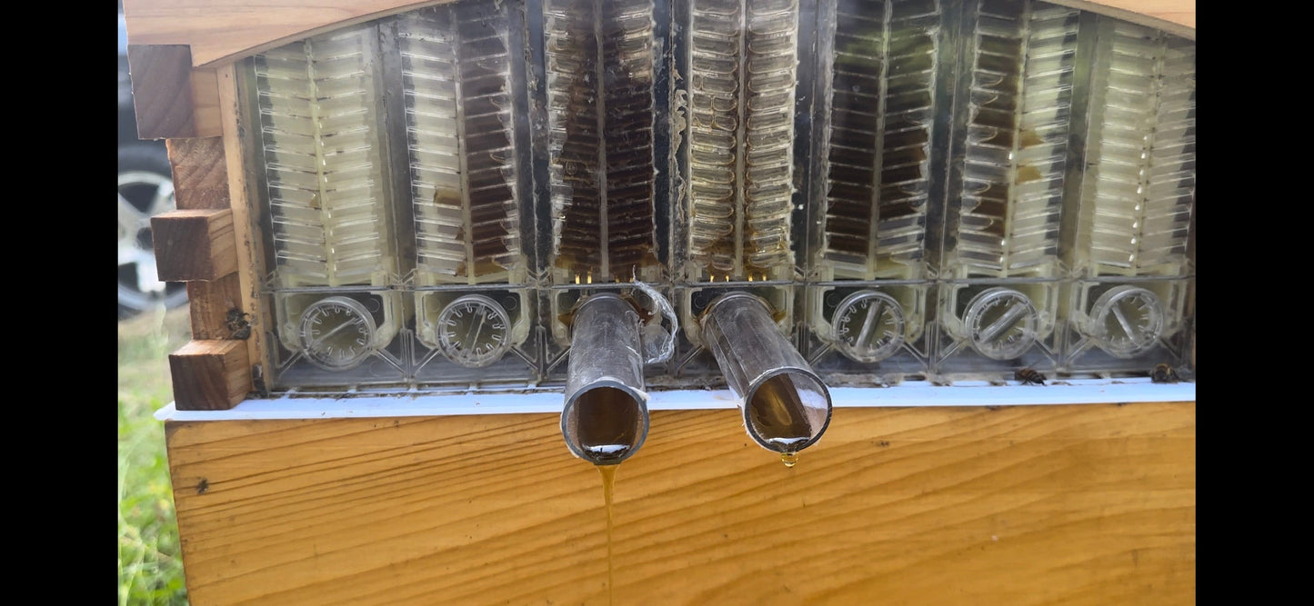 Bee Pollen and Raw Honey Gift Bundle The Lady May