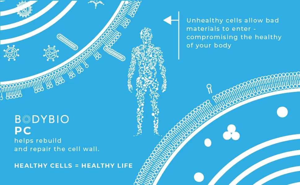 PC - Liposomal Phospholipid Complex, 16 fl oz (473 ml) -  BodyBio