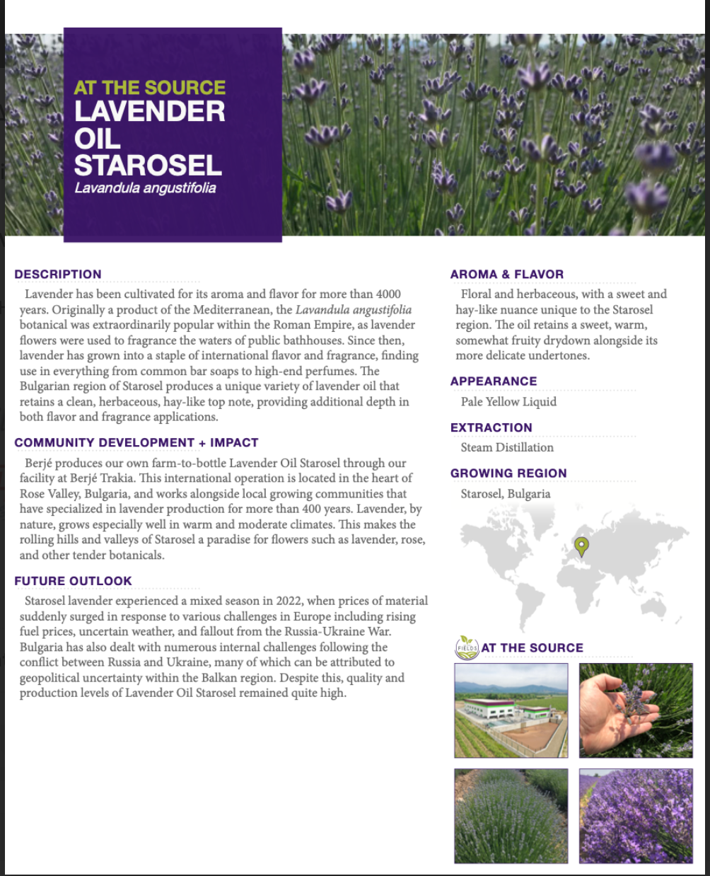 Whipped Tallow Trio - Scented (9oz) The Lady May