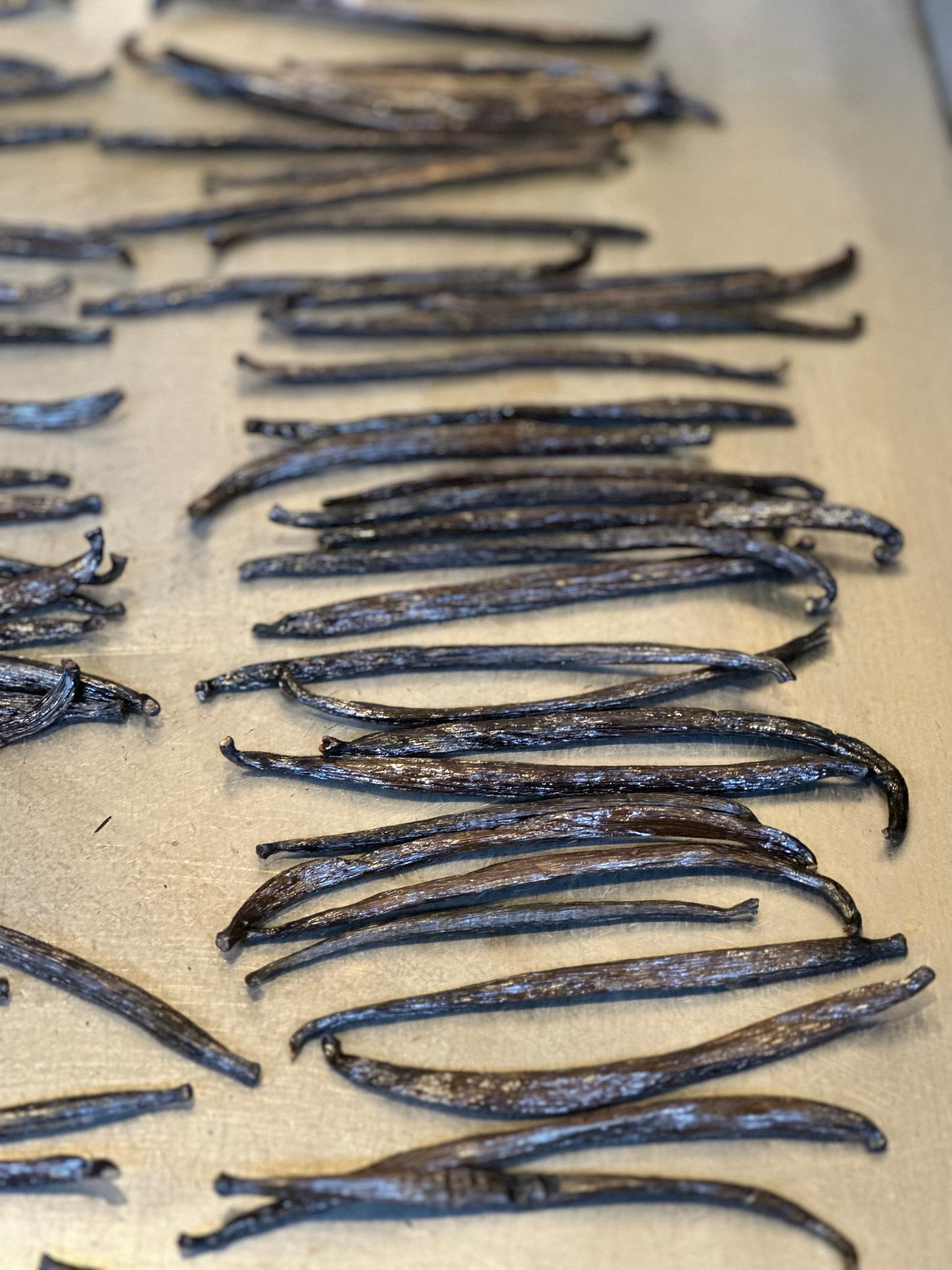 Pure Vanilla Extract The Lady May