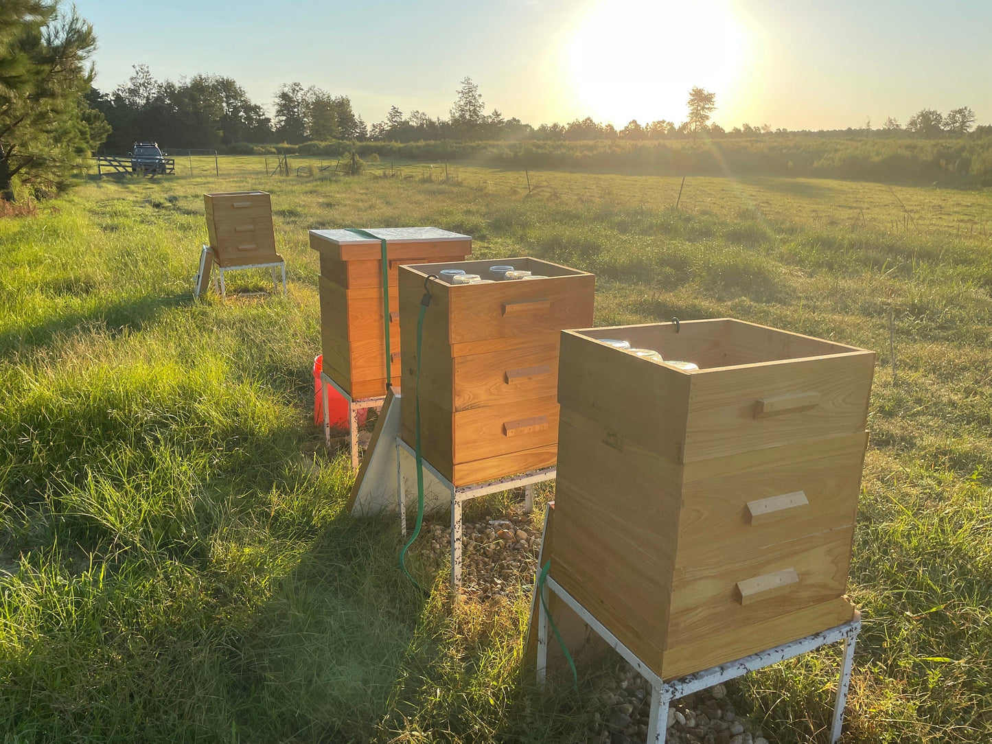 All Natural Raw Unfiltered Honey The Lady May