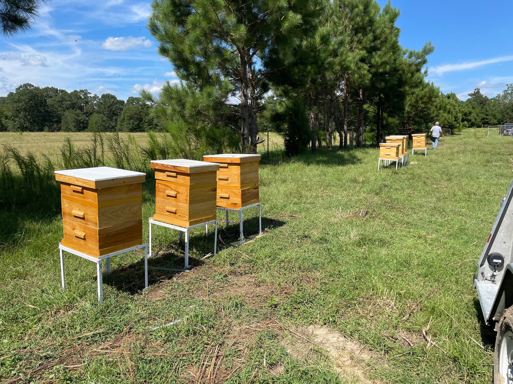 Red Pepper Infused Hot Honey The Lady May